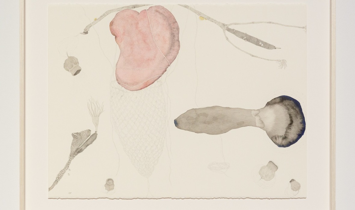 Lia McKnight, Filum from the series Sacred animate, 2017, ink, graphite and pencil on paper, 57 x 76cm. Courtesy of the City of Joondalup Art Collection