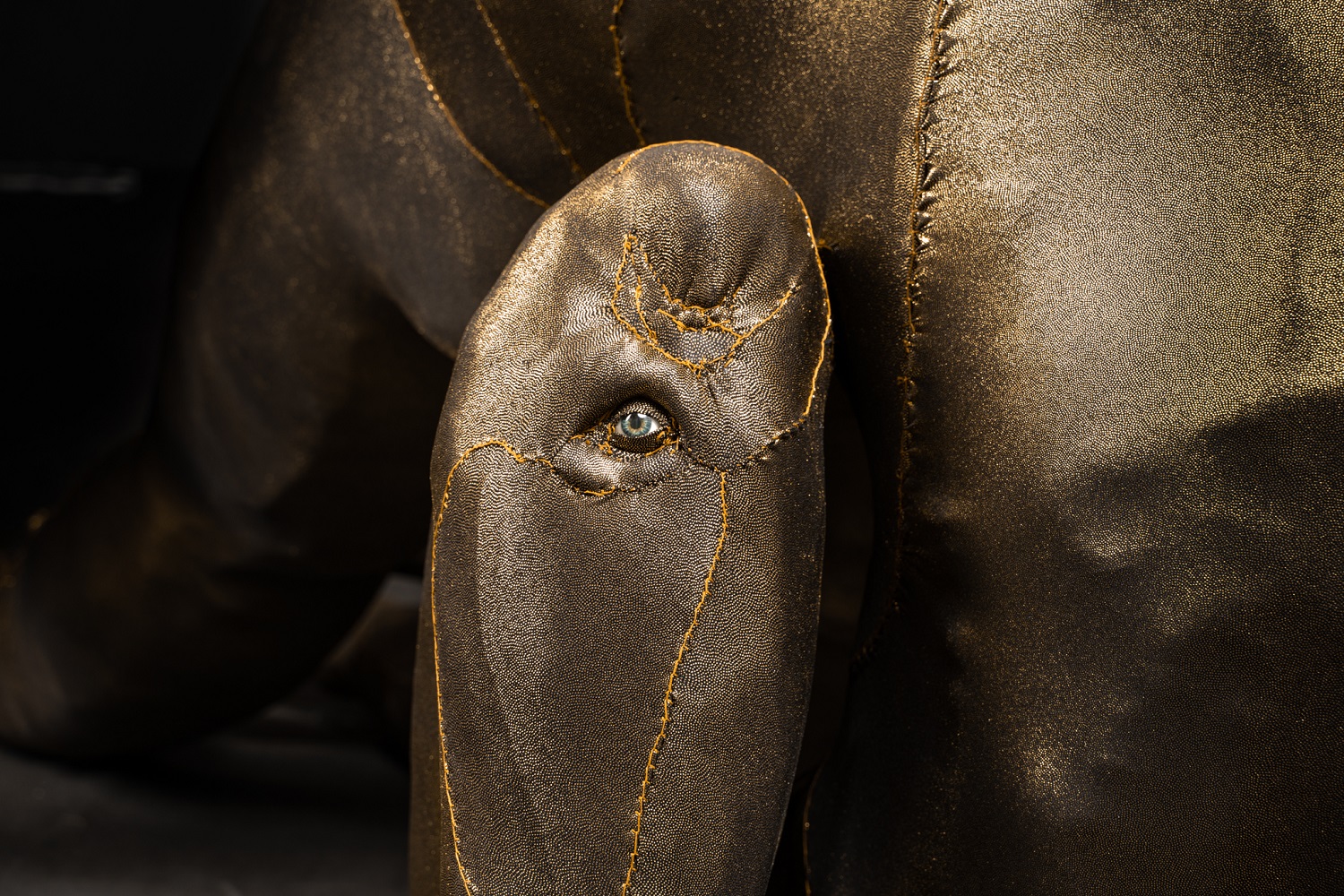 Tarryn Gill, Limber (1), 2020, mixed media, including hand-stitched Lycra, EPE foam and fibre fill, artificial eyes, steel, dimensions 1.1m x 3.7m x 1.25m. Courtesy of the artist and Gallery Sally-Dan Cuthbert. Photograph by Pixel Poetry
