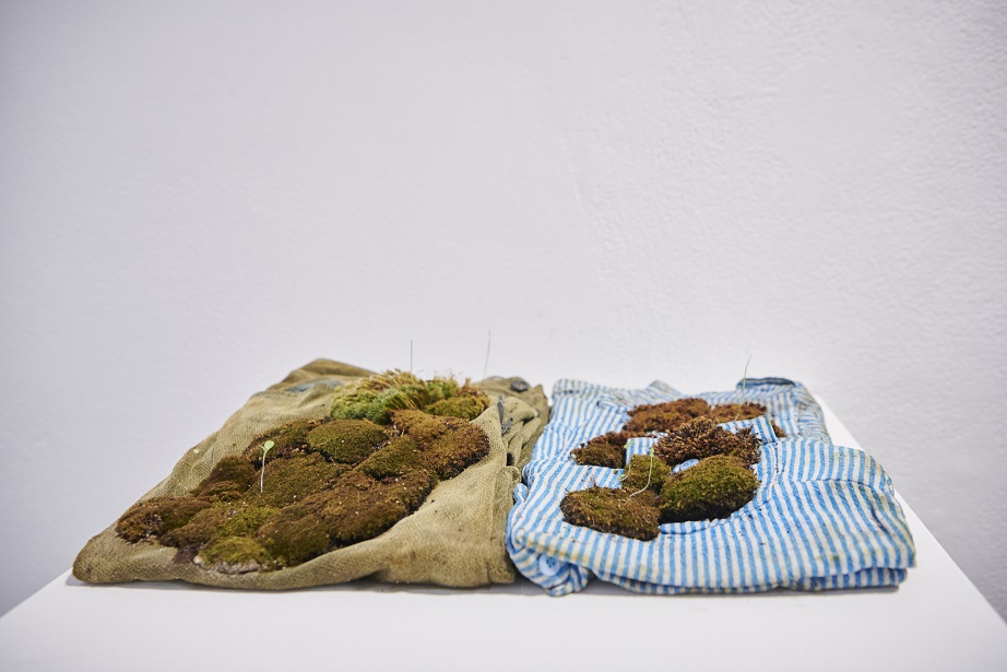 Phoebe Tran, After install ends, 2021, corduroy pants, linen shirt; moss, dimensions variable. Photography by Rebecca Mansell