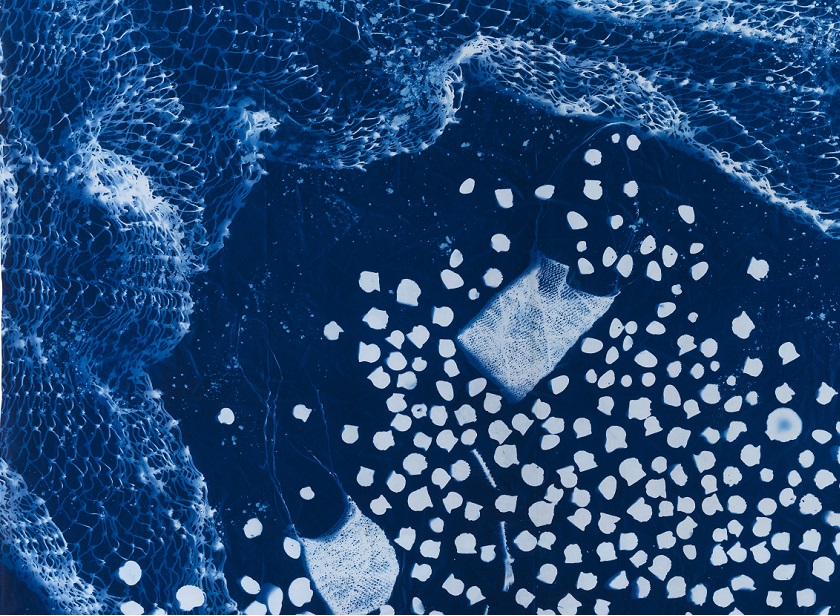 Sonja and Elisa-Jane Carmichael, Balgagu gara (come celebrate) (detail), 2020, cyanotype on cotton, 278 x 274cm. Photography by Grant Hancock. Courtesy of the artists, Onespace Gallery and the Art Gallery of South Australia