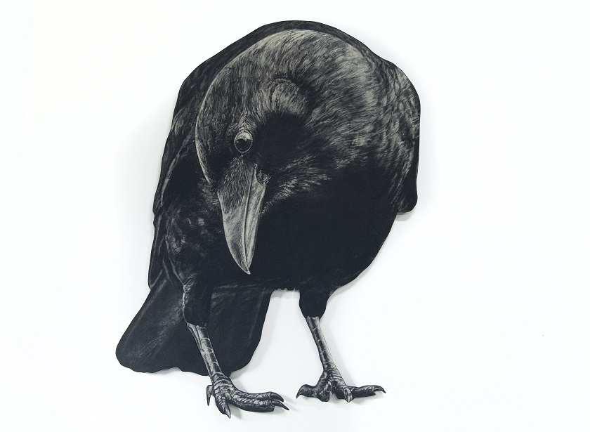 Anna Louise Richardson, What am I gathering (crow), 2022, charcoal on cement fibreboard, 132 x 90cm. Image courtesy the artist